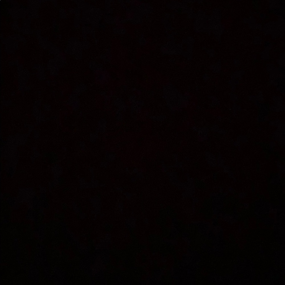 Meet your Posher, Izzy